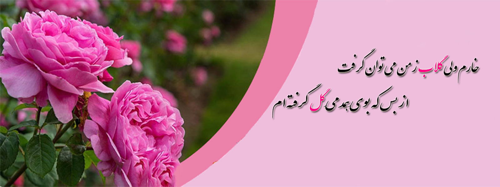 مراسم گلابگیری در کاشان از اوایل اردیبهشت تا اواسط خرداد ماه ادامه دارد. در این مدت جشنواره گل و گلاب در شهرستان کاشان برگزار می شود.